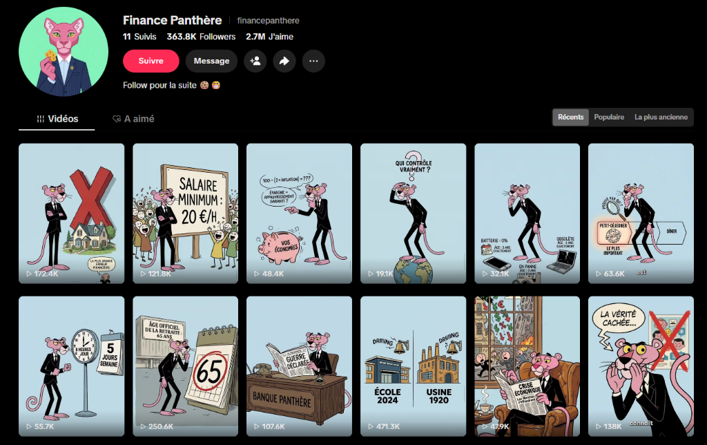 TikTok Profile Finance Panthere